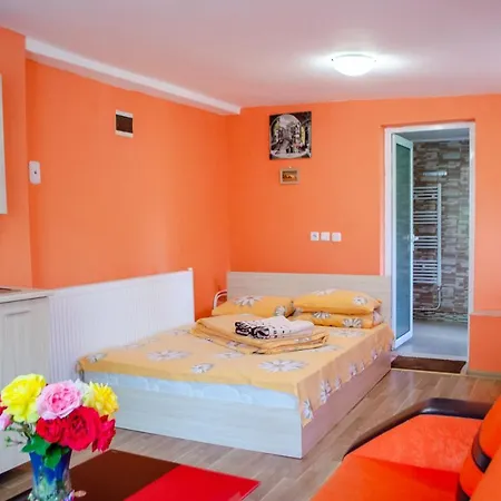 Danailovi Sapareva Banya